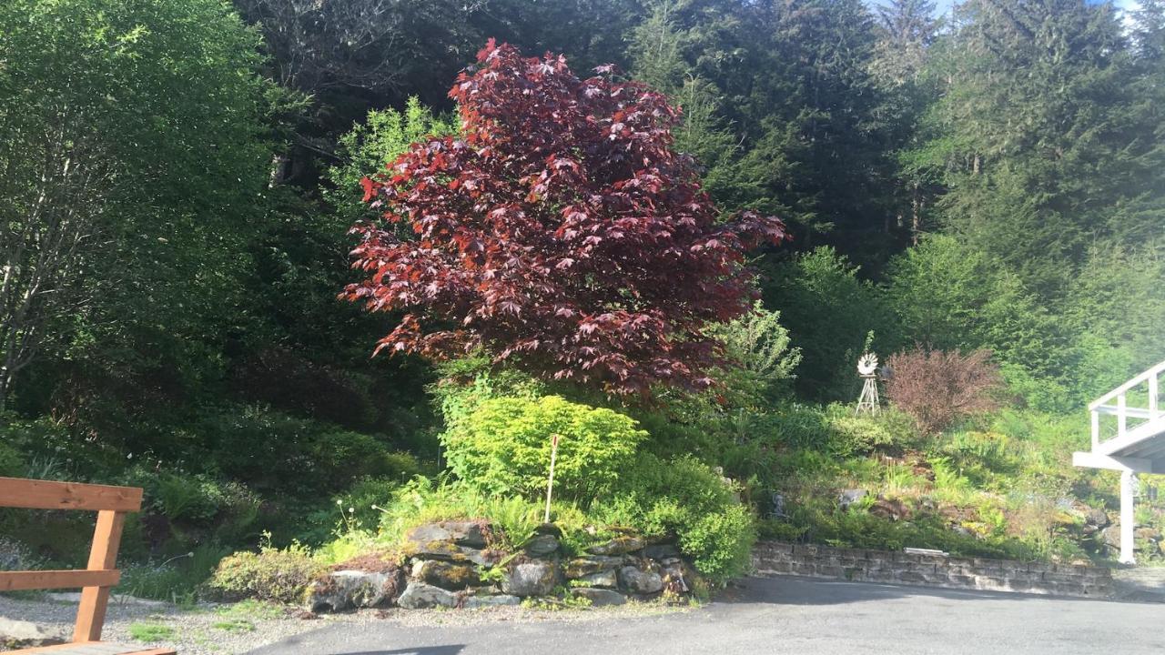 Kelli Creek Cottage - Reduced Price On Tours Juneau Zewnętrze zdjęcie