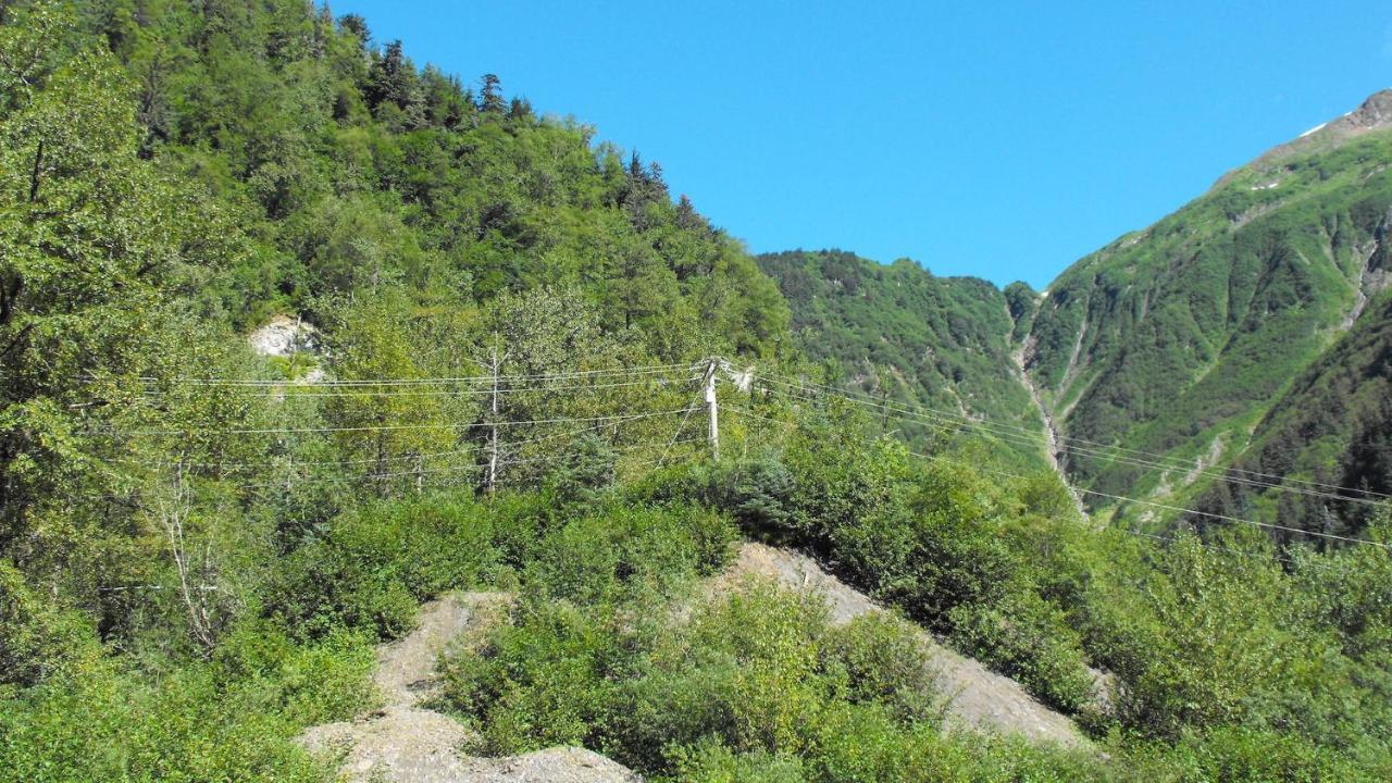 Kelli Creek Cottage - Reduced Price On Tours Juneau Zewnętrze zdjęcie