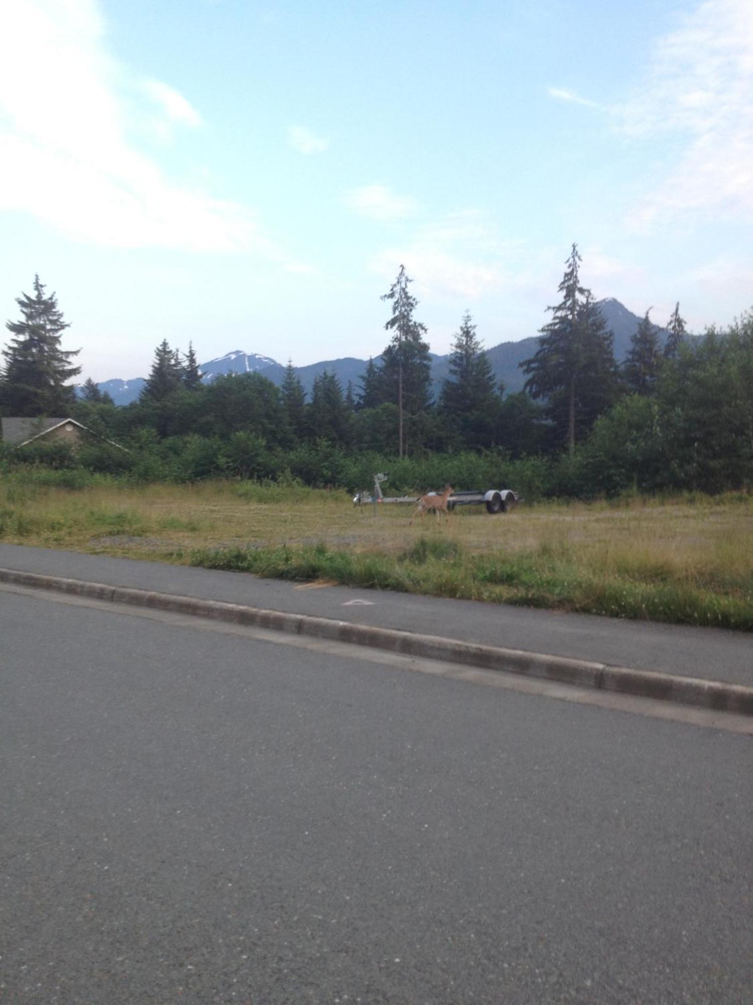 Kelli Creek Cottage - Reduced Price On Tours Juneau Zewnętrze zdjęcie